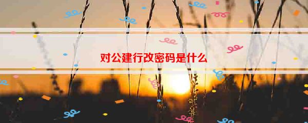 对公建行改密码是什么