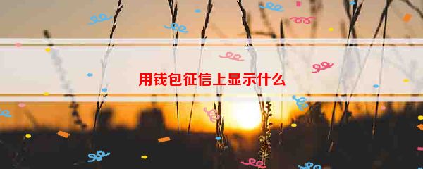 用钱包征信上显示什么