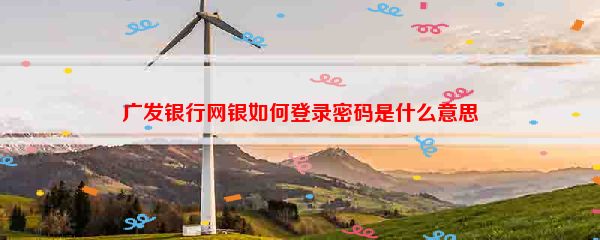 广发银行网银如何登录密码是什么意思