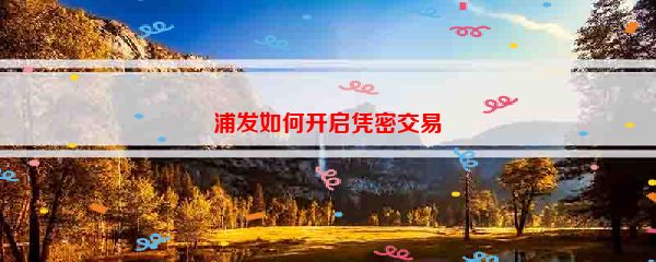 浦发如何开启凭密交易