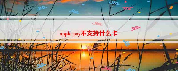 apple pay不支持什么卡