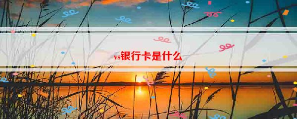 vs银行卡是什么