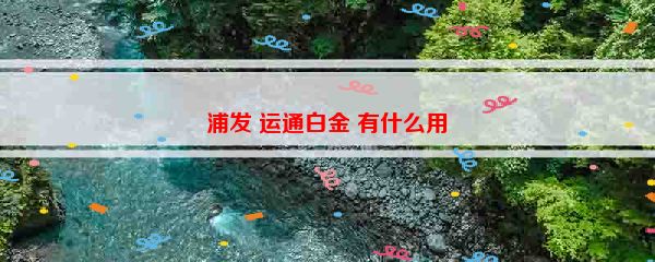 浦发 运通白金 有什么用