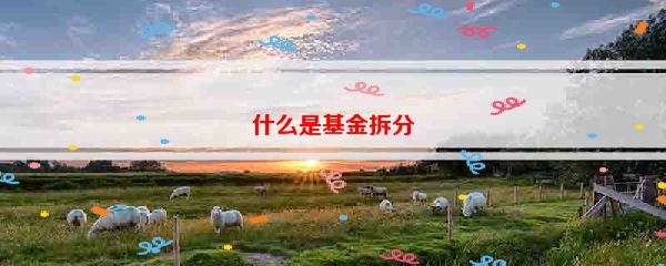 什么是基金拆分