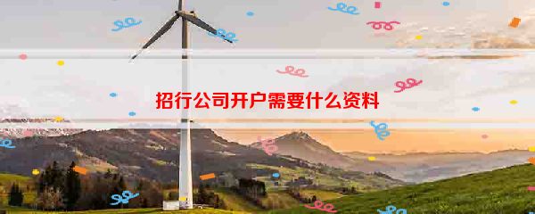 招行公司开户需要什么资料