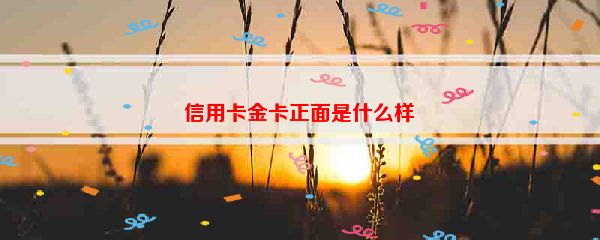 信用卡金卡正面是什么样