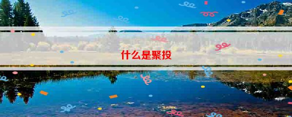 什么是聚投