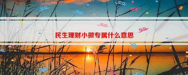 民生理财小微专属什么意思