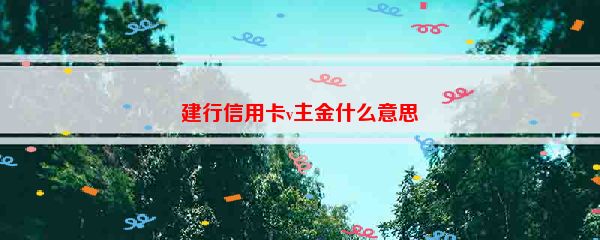 建行信用卡v主金什么意思