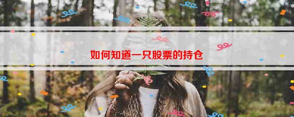 如何知道一只股票的持仓