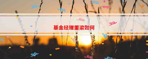 基金经理董梁如何