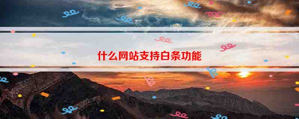 什么网站支持白条功能