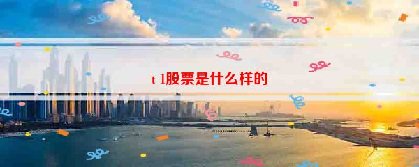 t 1股票是什么样的