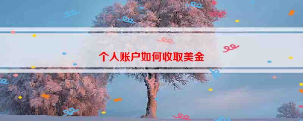 个人账户如何收取美金