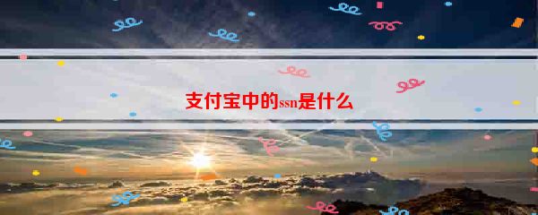 支付宝中的ssn是什么