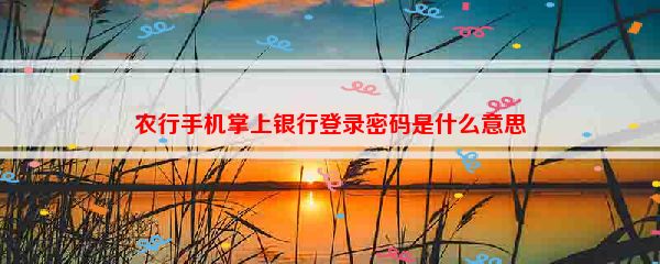 农行手机掌上银行登录密码是什么意思