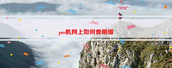 pos机网上如何查明细