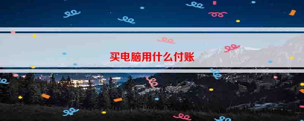 买电脑用什么付账