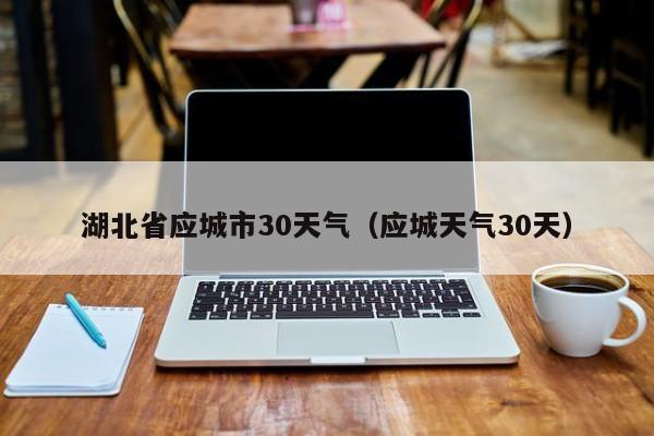 应城天气30天 湖北省应城市30天气