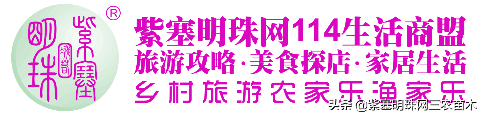 长岛群岛哪个岛最好 长岛岛旅游攻略