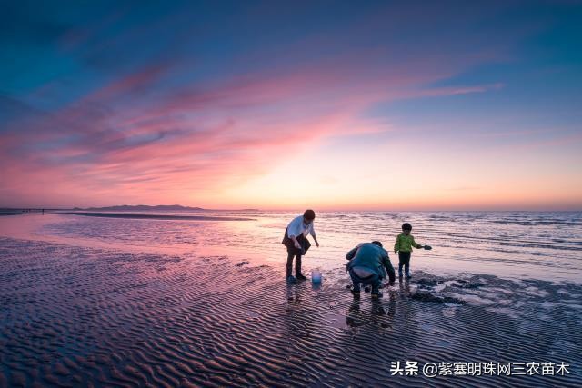 长岛群岛哪个岛最好