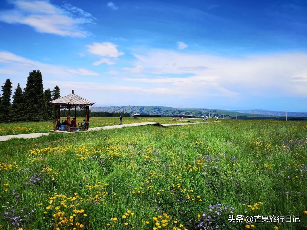 乌鲁木齐沙漠旅游景点,新疆沙漠旅游区有哪些