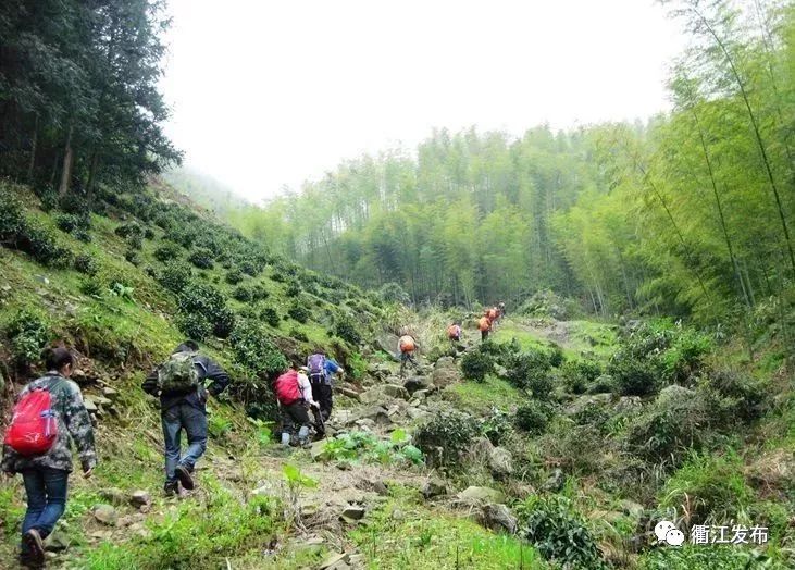 衢州古道排名