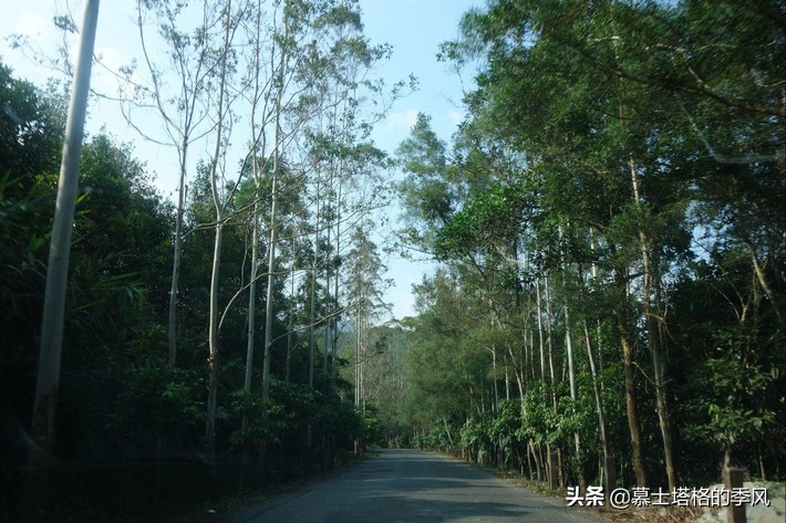 今年春节去哪玩？这条自驾线路景美人少，走自己的路看最美的风景(图17)