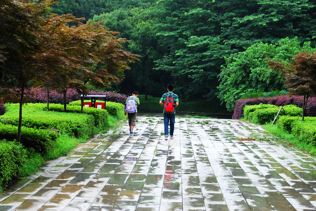 洞庭湖坐船攻略，洞庭湖岳阳楼旅游攻略