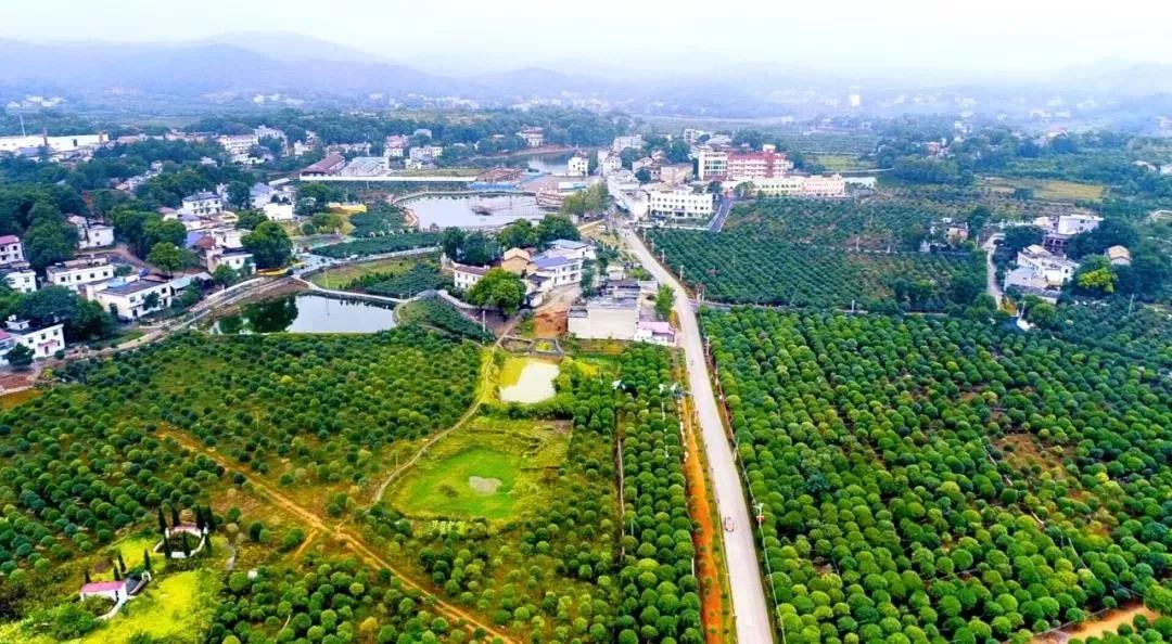 萍乡旅游必去十大景点排名