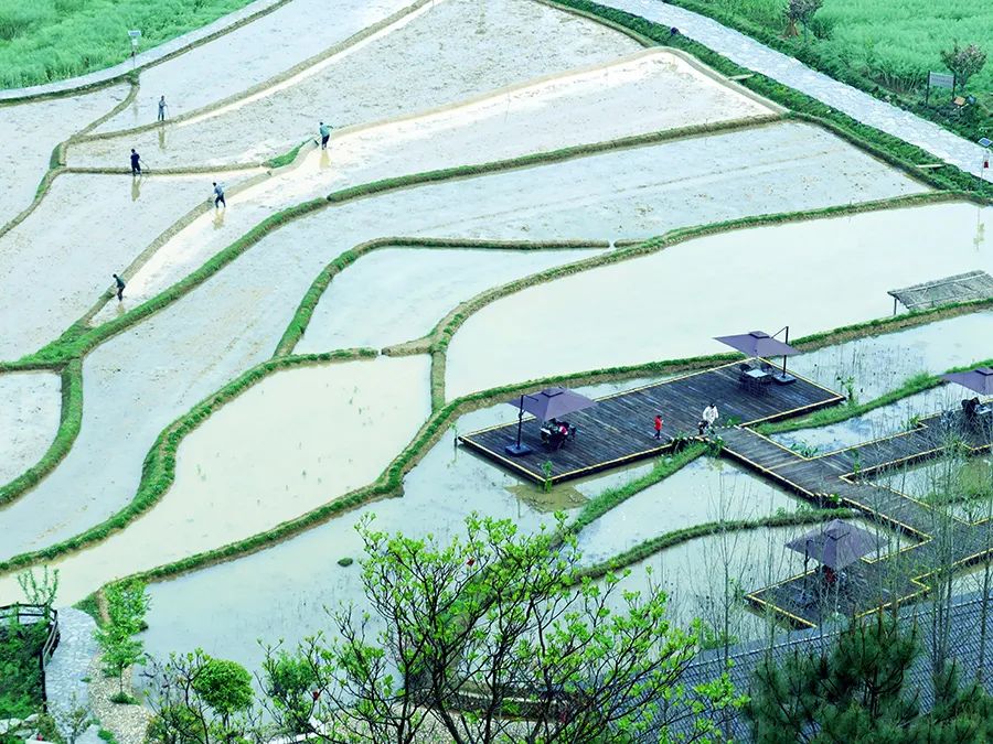 萍乡旅游必去十大景点排名