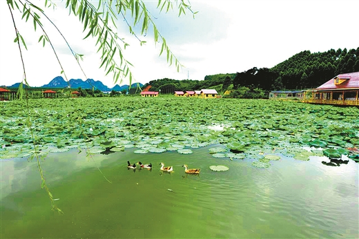 伊岭溪谷旅游攻略