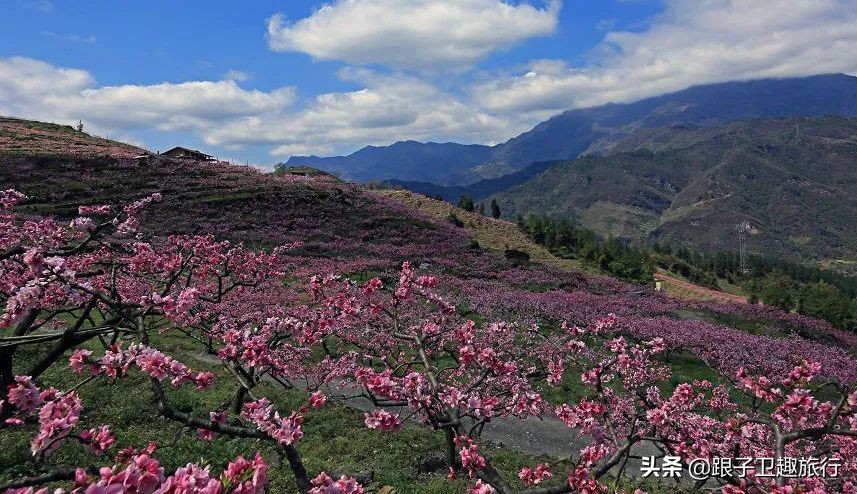 平武泗洱好玩的地方