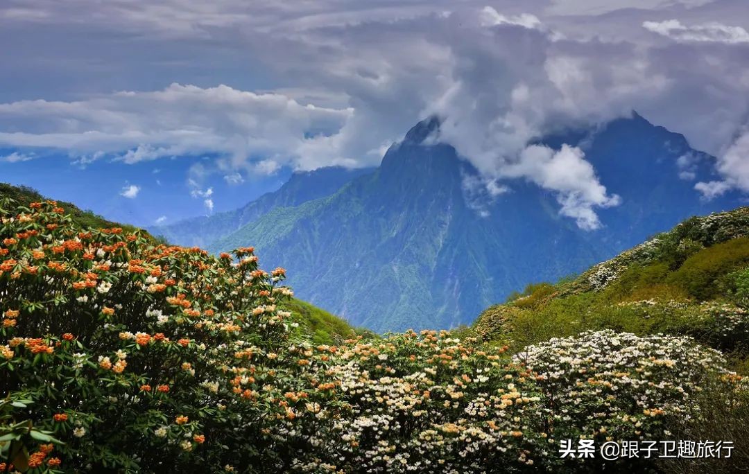 平武泗洱好玩的地方