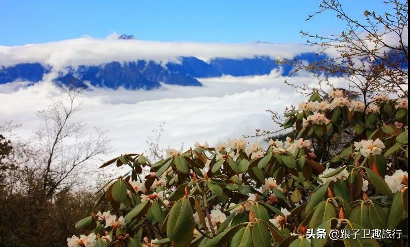 平武泗洱好玩的地方