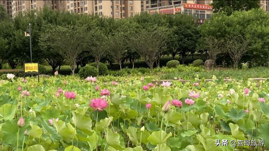 重庆到奉节沿途旅游景点