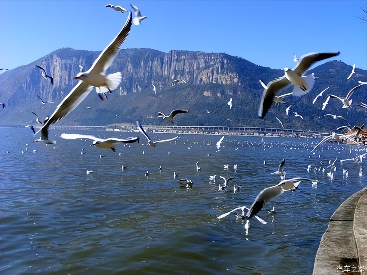 丽江大理旅游攻略