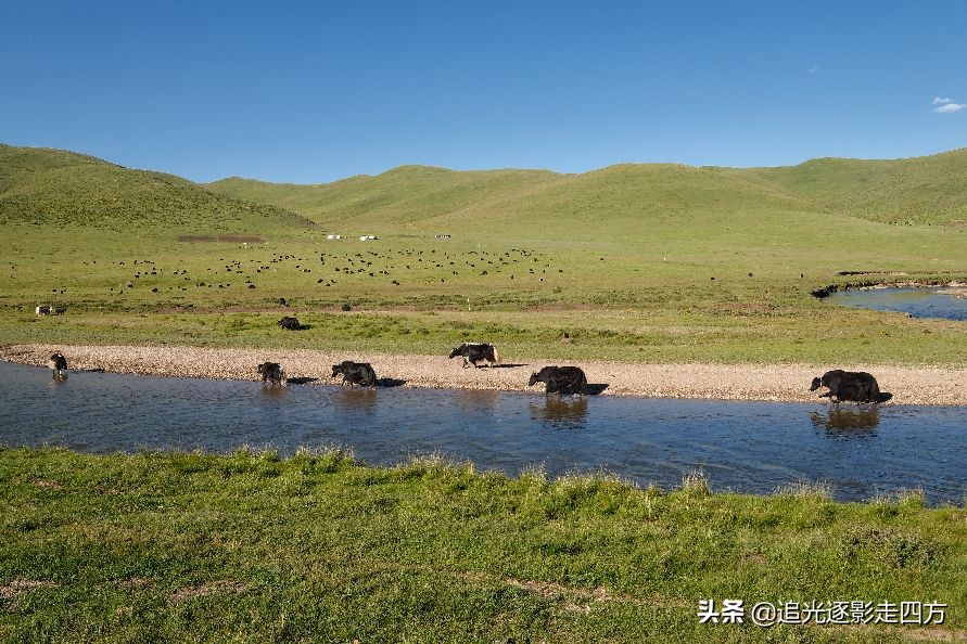 陕西到甘南自驾游最佳路线（西安出发甘南旅游攻略）