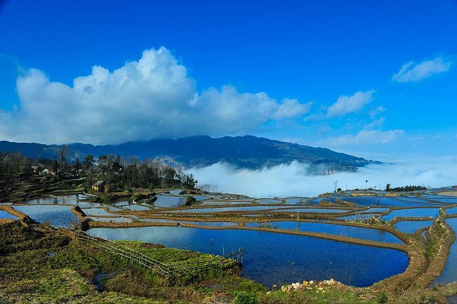 高性价比｜7大家庭出游目的地，春节特色一应俱全，附景点安利(图32)