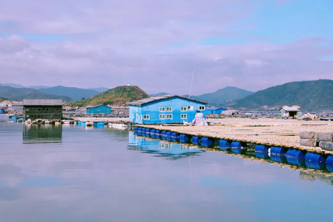 霞浦赶海攻略