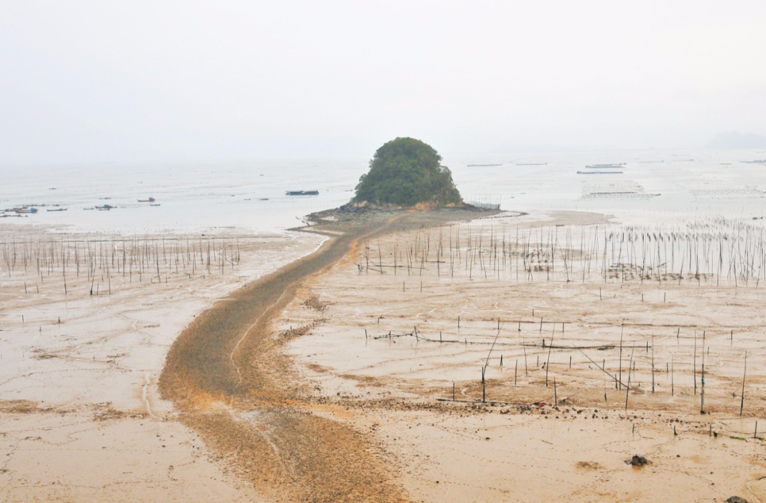 霞浦赶海攻略