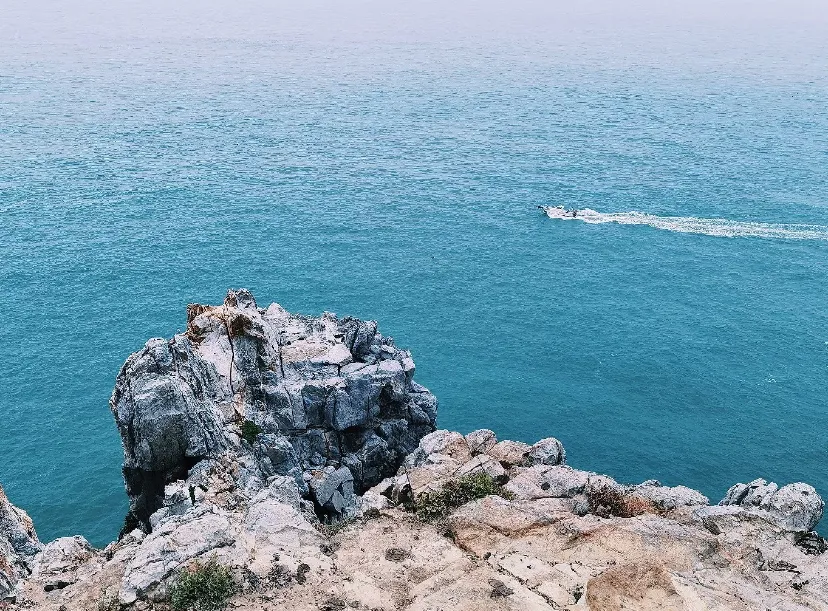 霞浦赶海攻略