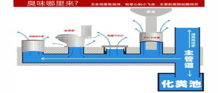 高层卫生间反味严重是什么原因(高层反味一般是在几楼)