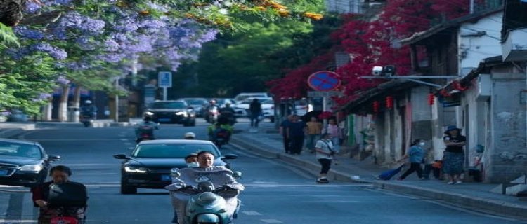 全国夏天最凉爽的城市(浙江夏天最凉爽的城市)