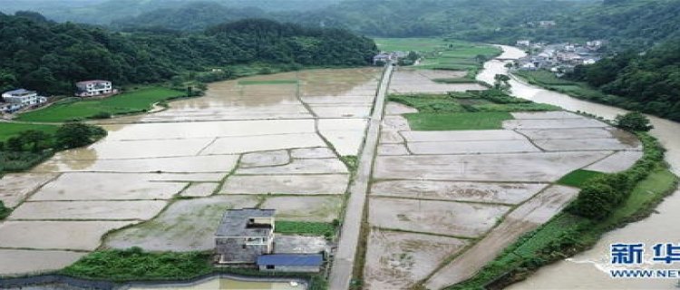 湖南省桑植县有哪些乡镇