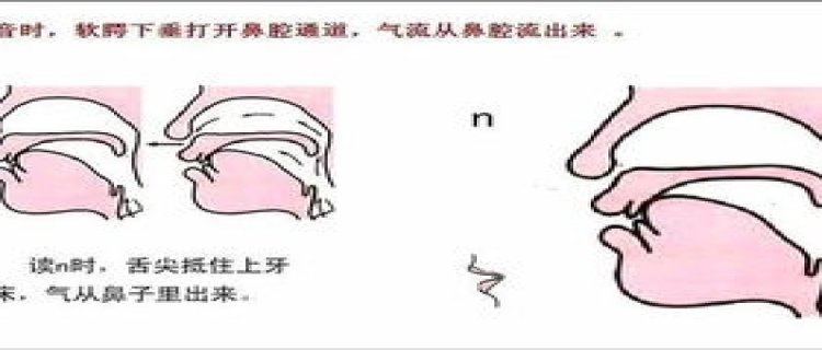 平舌音和翘舌音怎样区分