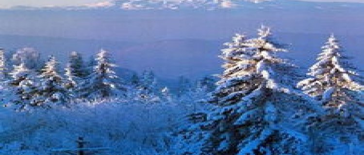 2023年长白山10月份下雪了吗 几月份去长白山能看到雪景(2023年长白山森工集团定向公开选拔的公告)