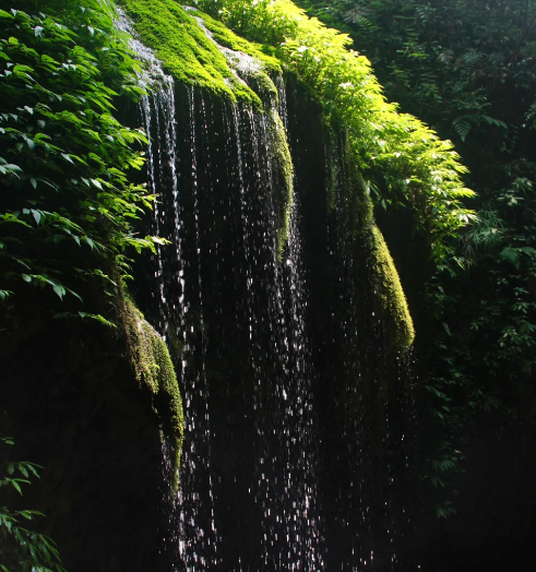 青城山有必要坐索道吗3