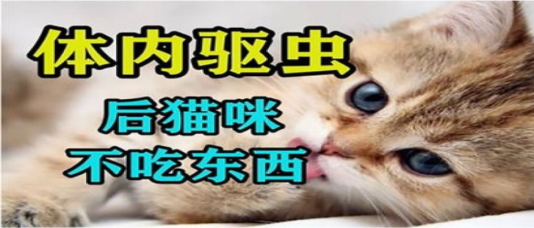 猫体内驱虫后吐了正常吗