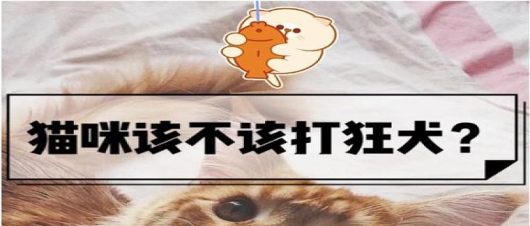 猫咪一定要打狂犬疫苗吗?